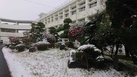 雪化粧の中庭