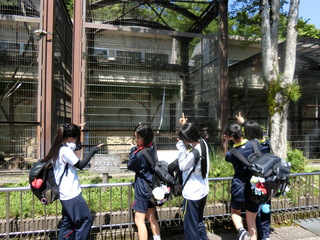CIMG0056